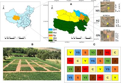 Legume-grass mixtures increase forage yield by improving soil quality in different ecological regions of the Qinghai-Tibet Plateau